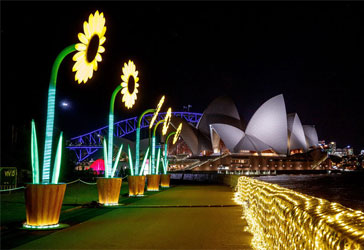 VIVID Sydney Lights