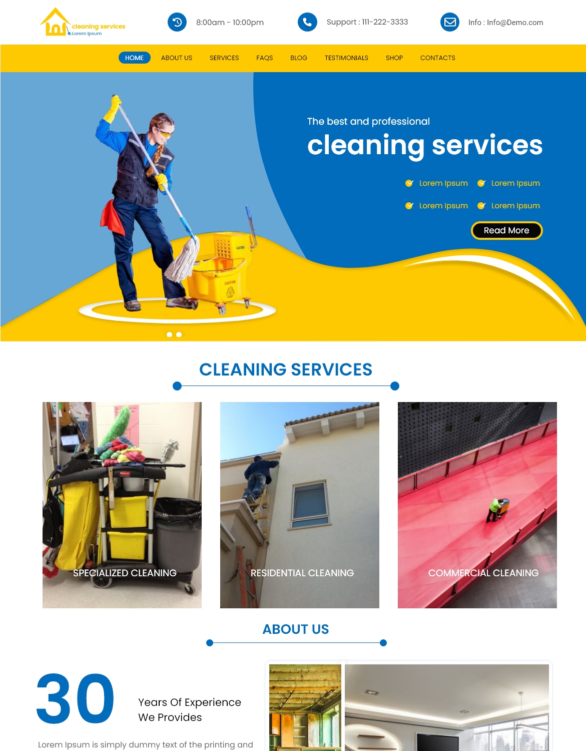 Cleaning Wordpress Theme